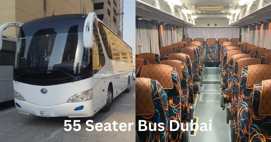 50 seats buses pictures inside and outside